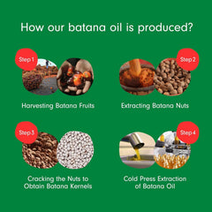 Dersie Batana Oil packaging box emphasizes brand and Honduran origin.