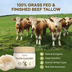 Texture of Dersie beef tallow-based balm shows rich, nourishing consistency.