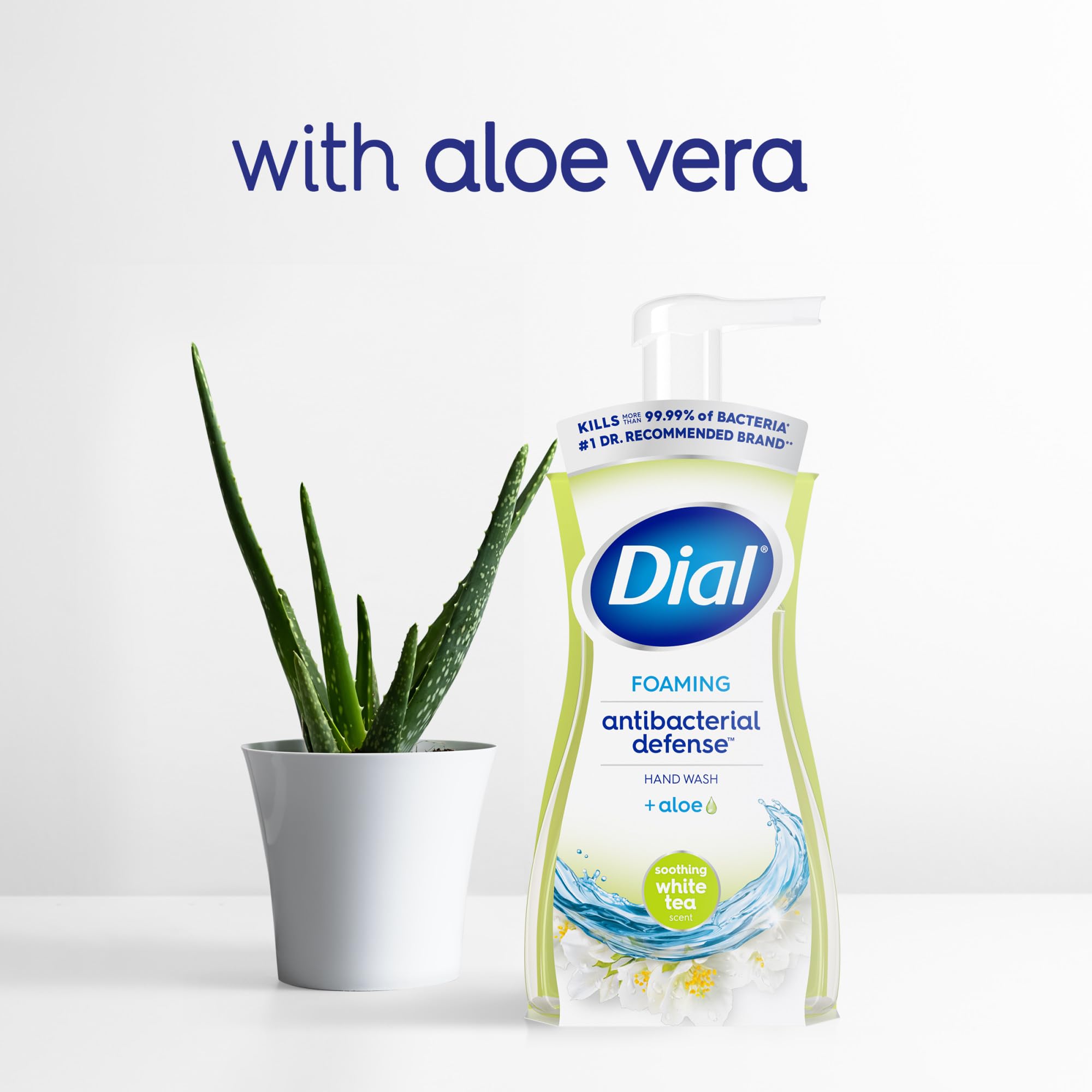 Dial Antibacterial Defense foaming hand soap ideal for bathrooms.