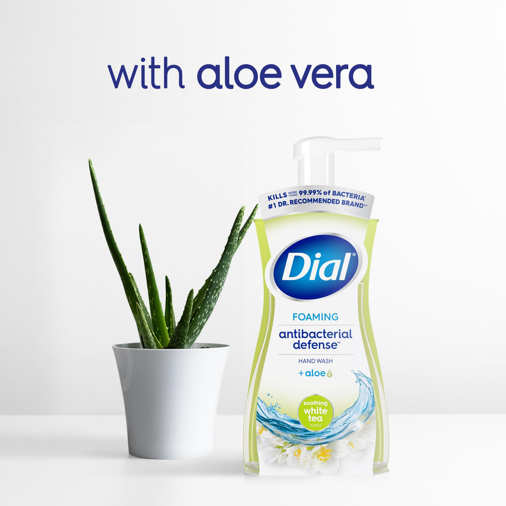 Dial Antibacterial Defense foaming hand soap ideal for bathrooms.