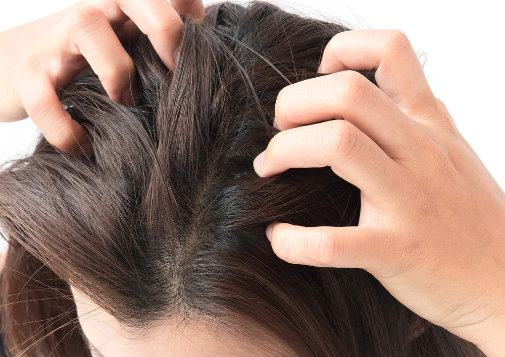 Difeel hair oil used on color treated hair to maintain moisture