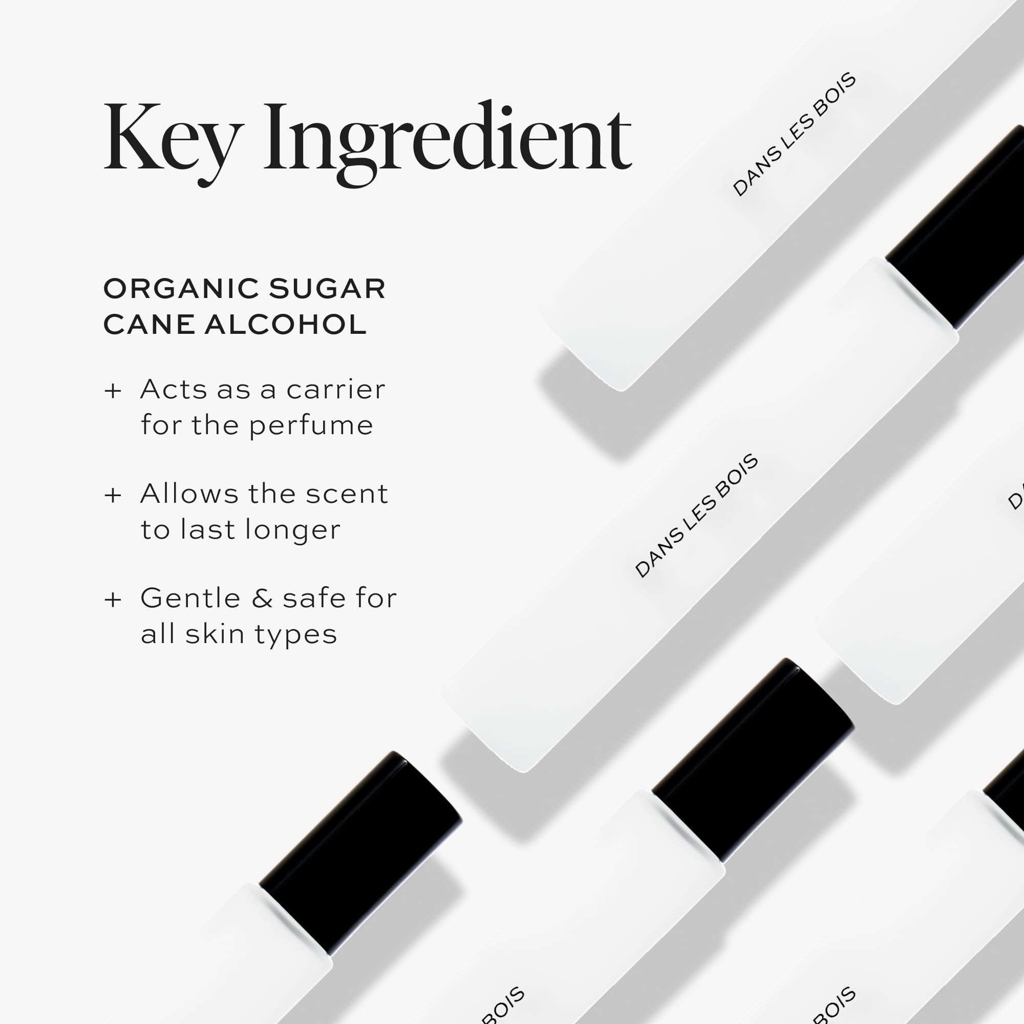 DIME Dans Les Bois base notes bottle; cedar and moss create a subtle earthy finish.