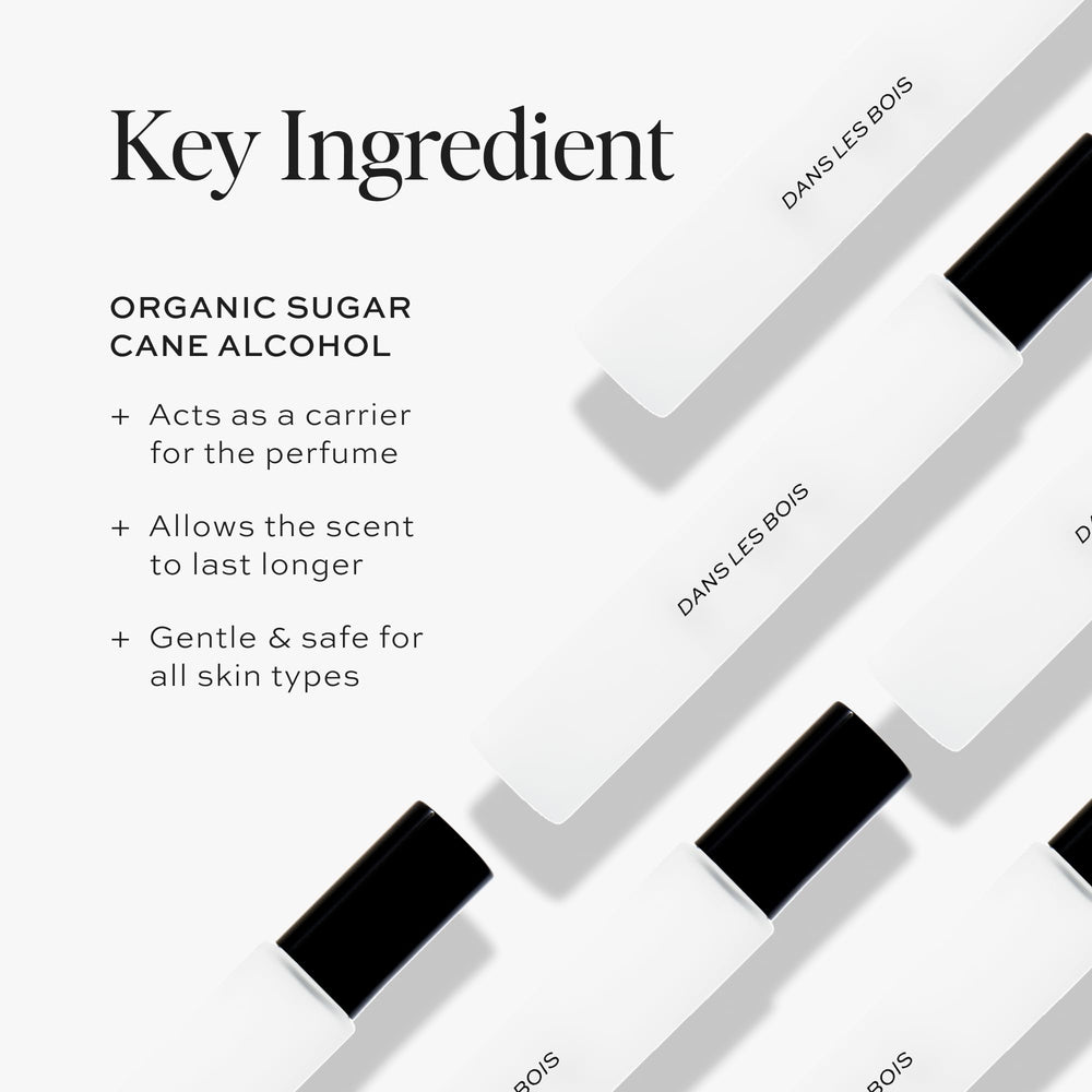 DIME Dans Les Bois base notes bottle; cedar and moss create a subtle earthy finish.