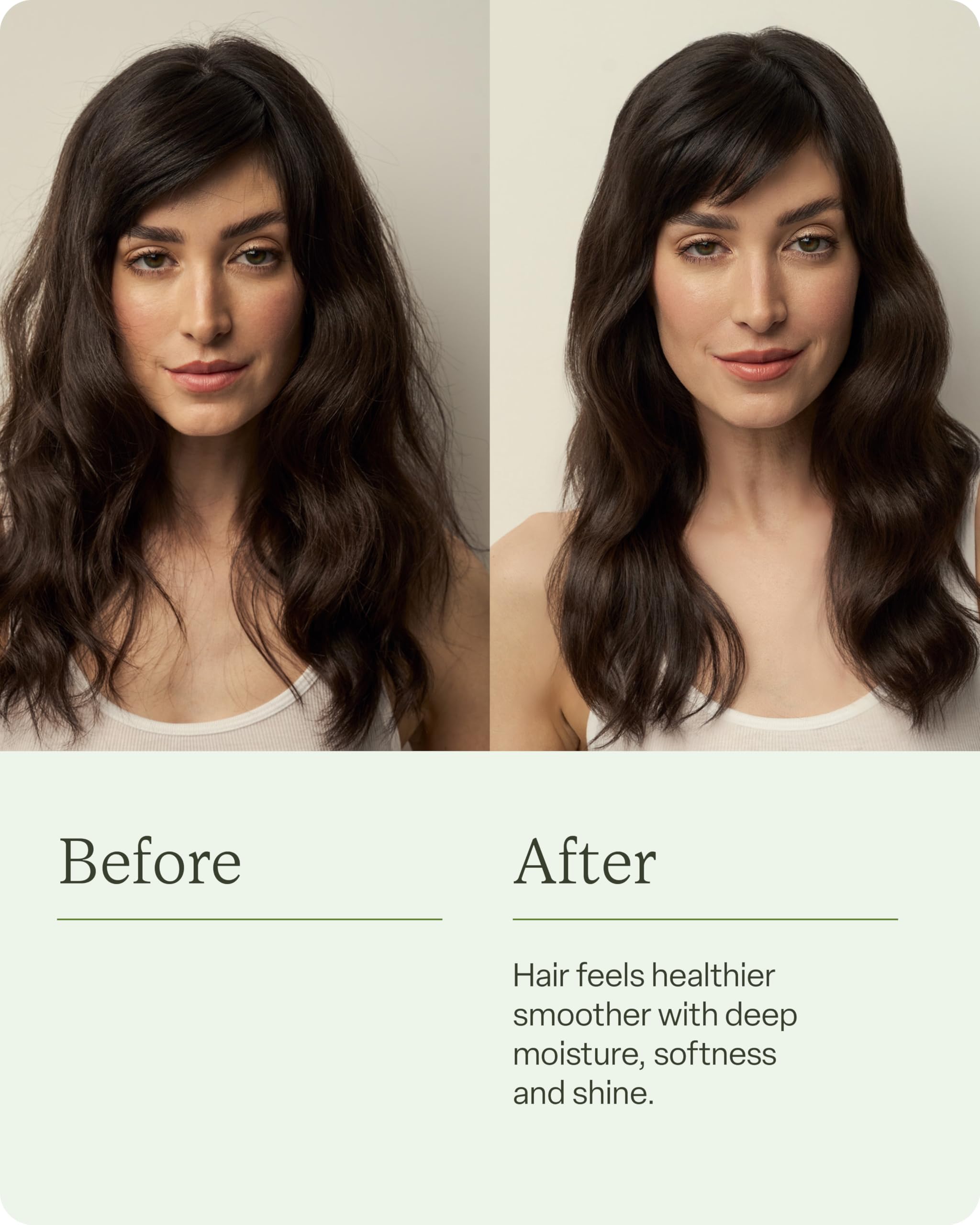 Divi Hydrating Shampoo ingredients featuring algae extract for nourishment