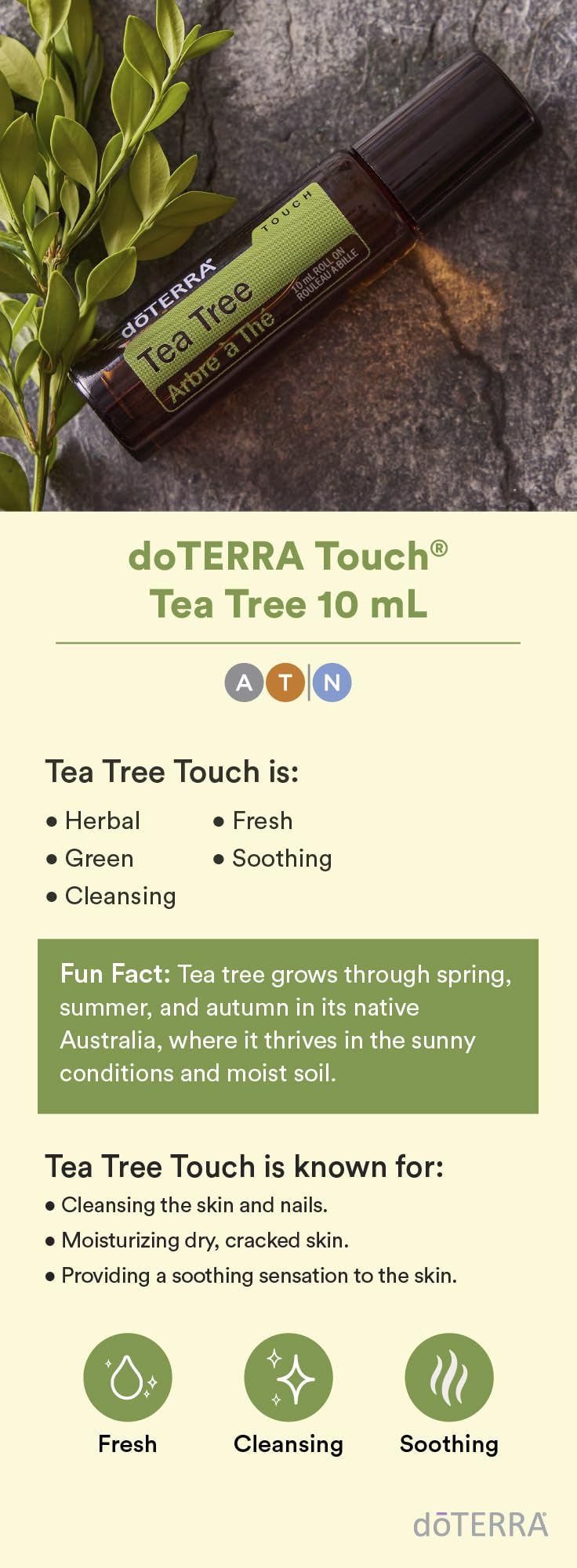 doTERRA Melaleuca Touch cap close-up showing easy grip for quick applications