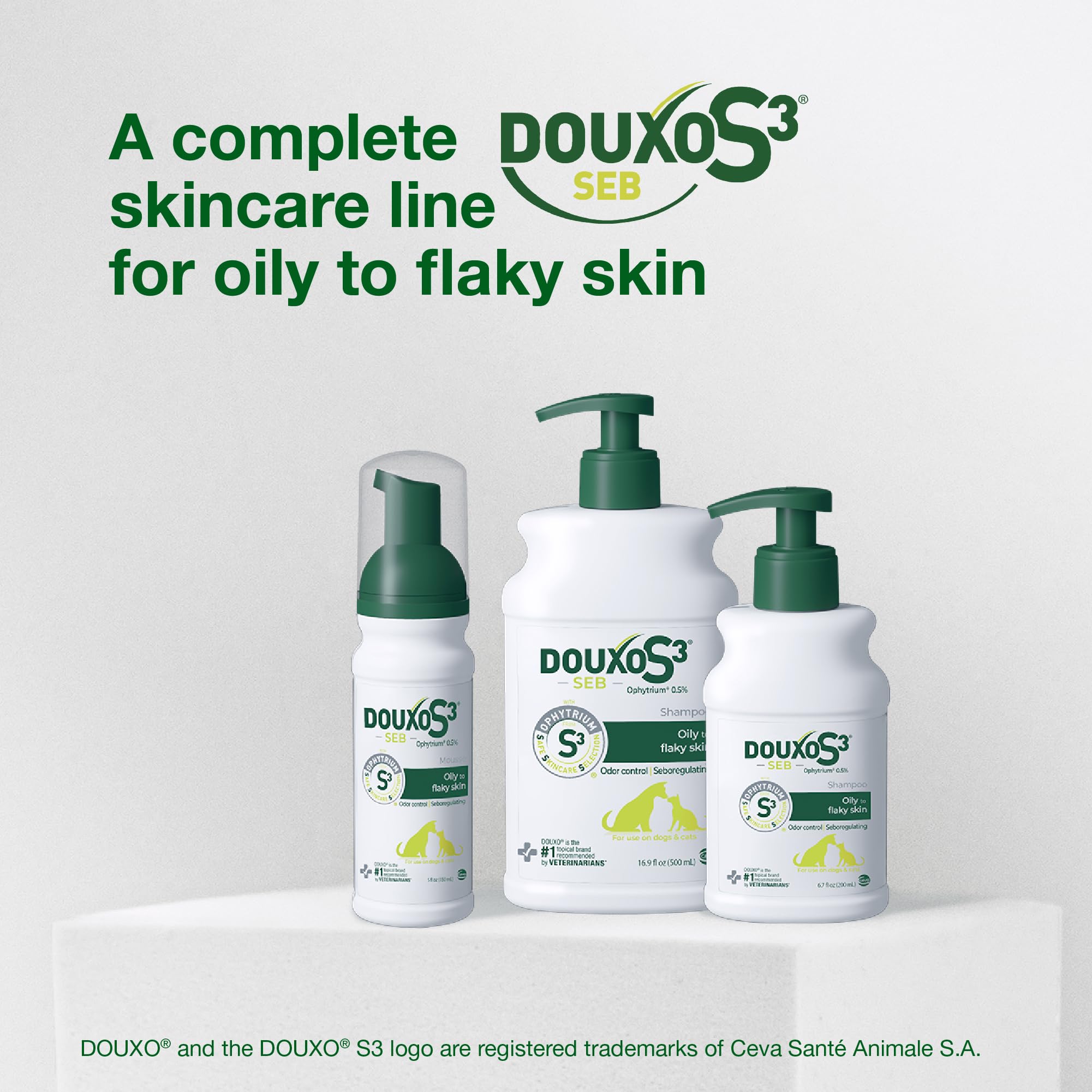 Pet hair detangling with DOUXO S3 SEB Mousse during grooming
