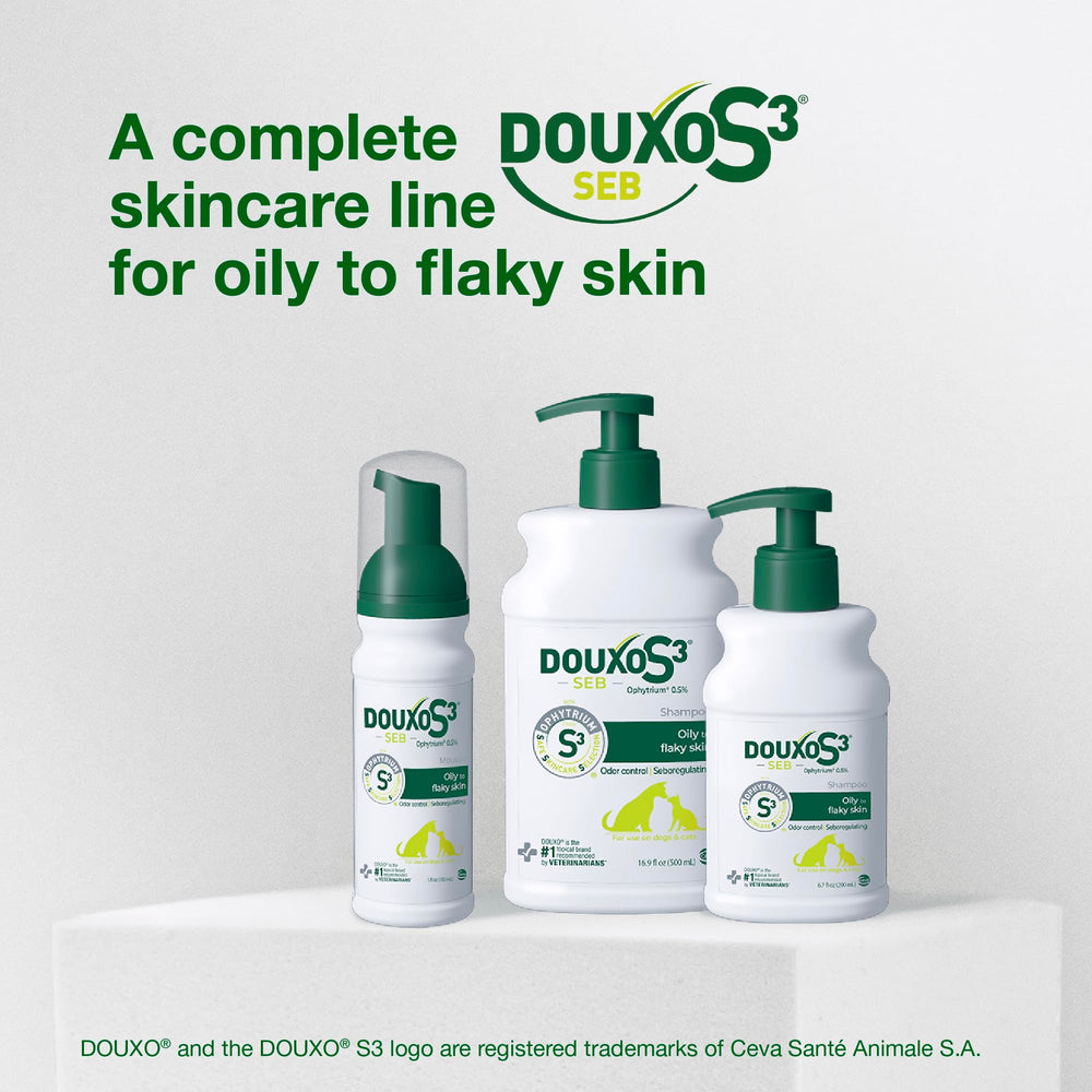 Pet hair detangling with DOUXO S3 SEB Mousse during grooming