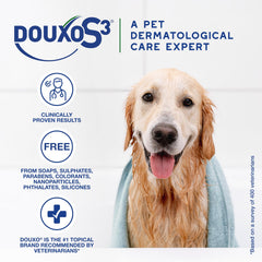 Coat looks soft and shiny after mousse treatment with DOUXO