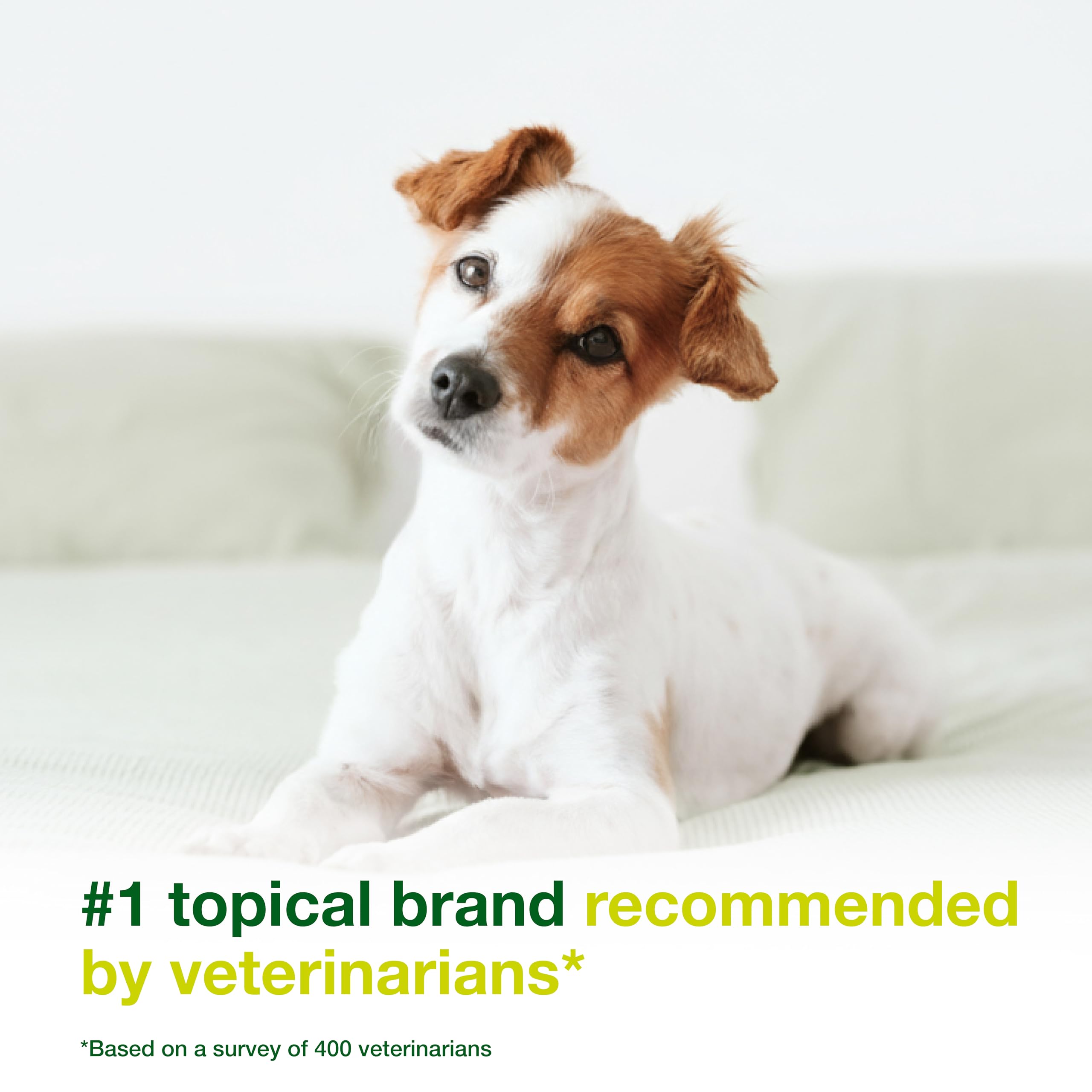 Dogs and cats benefit from DOUXO S3 SEB Mousse for dandruff relief
