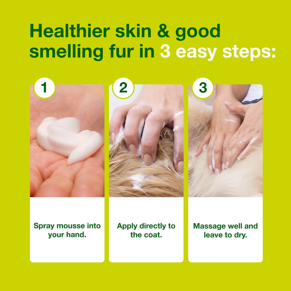 Odor control with the DOUXO S3 SEB Mousse formula