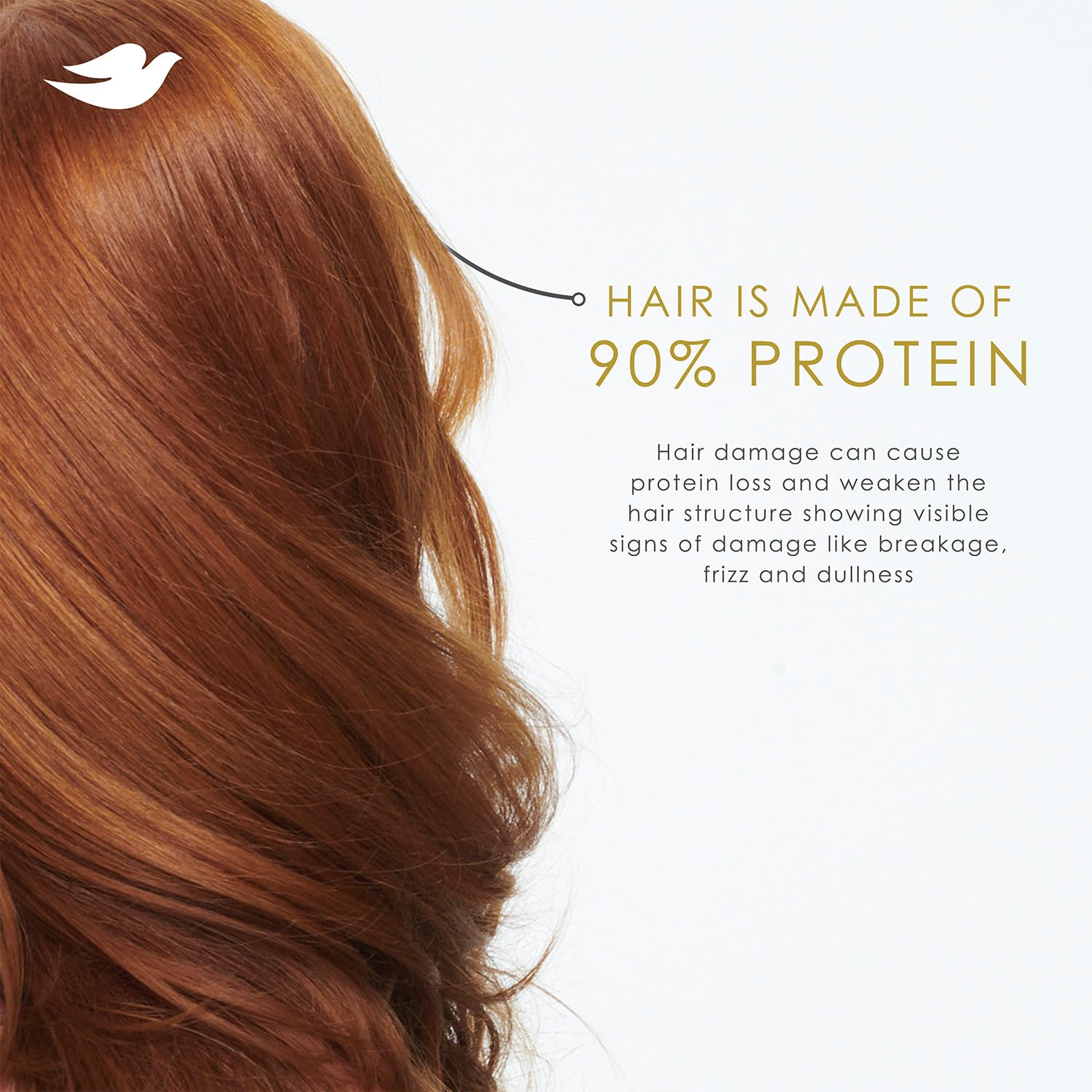 Dove Control encrespado lavanda: control del encrespado con brillo suave.