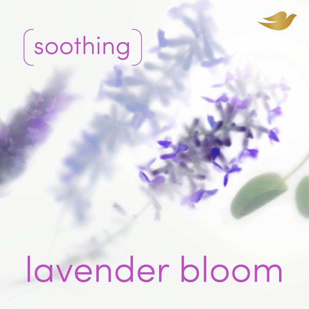 Dove Lavender Bloom textura con 35% serum para piel suave.