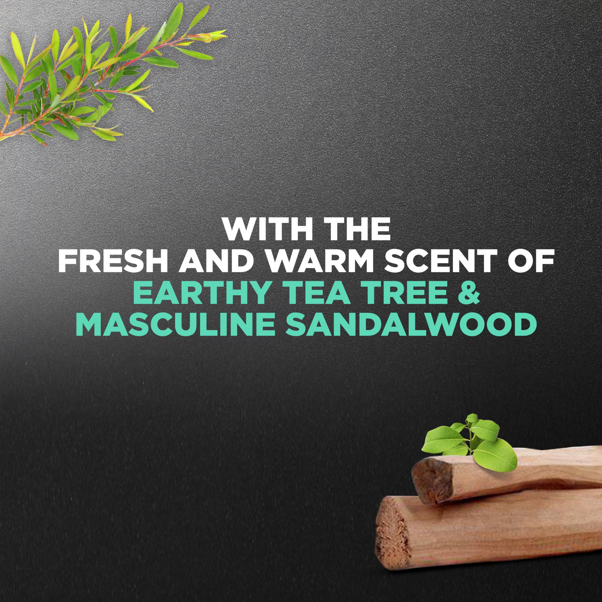 Dove Men+Care Revive 3en1: aroma terroso de árbol de té y sándalo