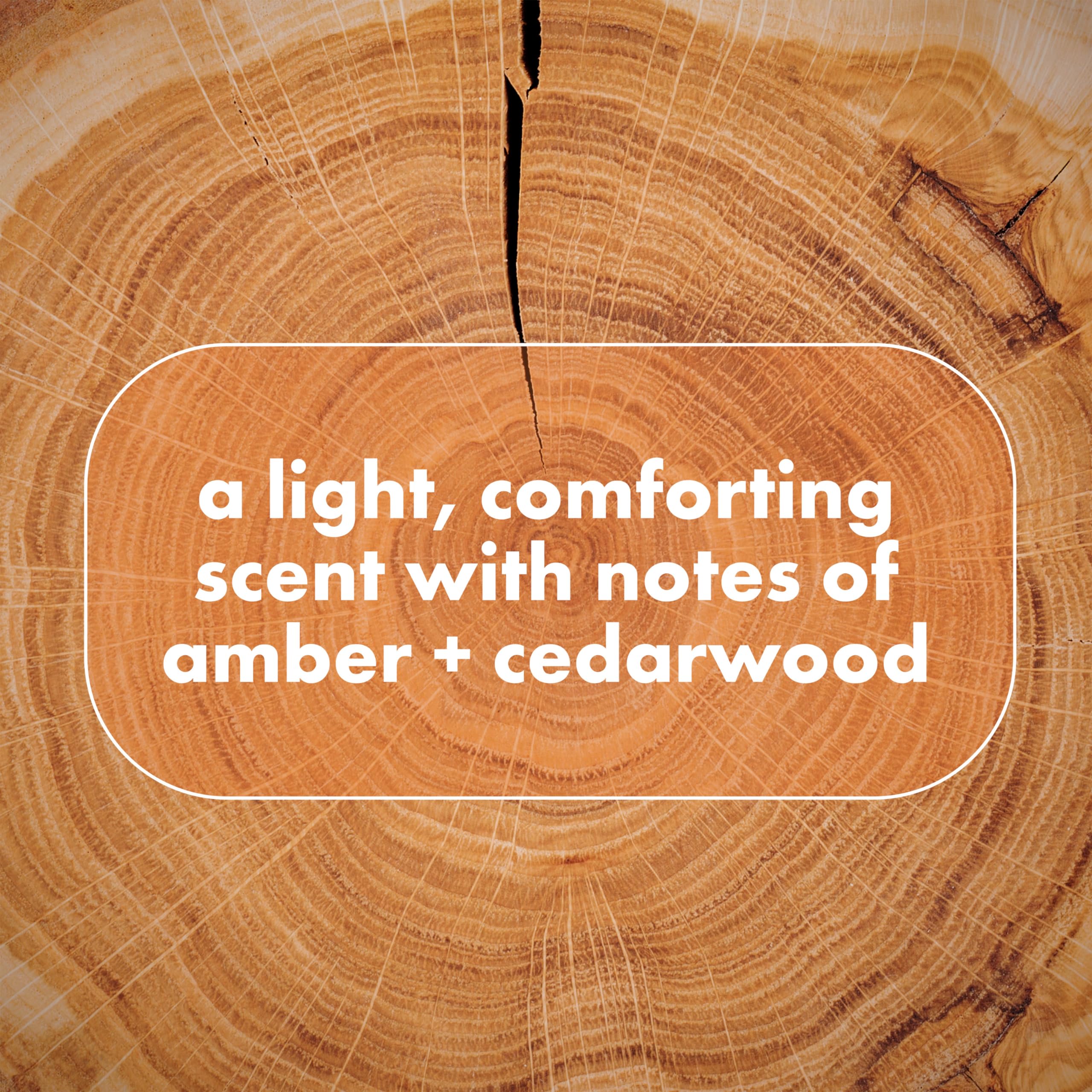 DOVE Men+Care Whole Body Deo bottle highlights amber and cedarwood fragrance.