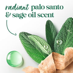 Dove Palo Santo & Sage solid stick applying underarm after shaving for comfortable wear.