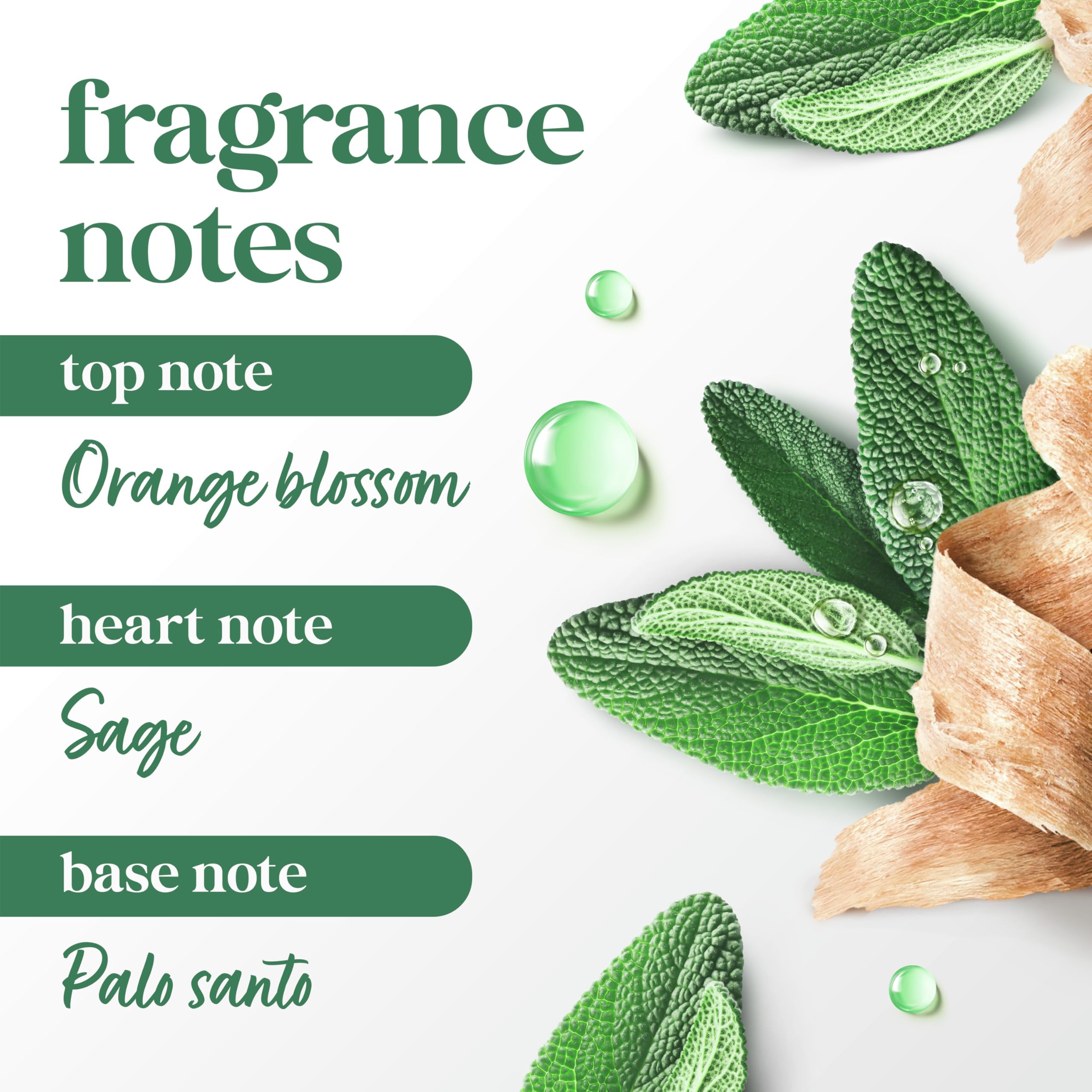 Dove Palo Santo & Sage solid stick close-up reveals creamy, skin-friendly texture.
