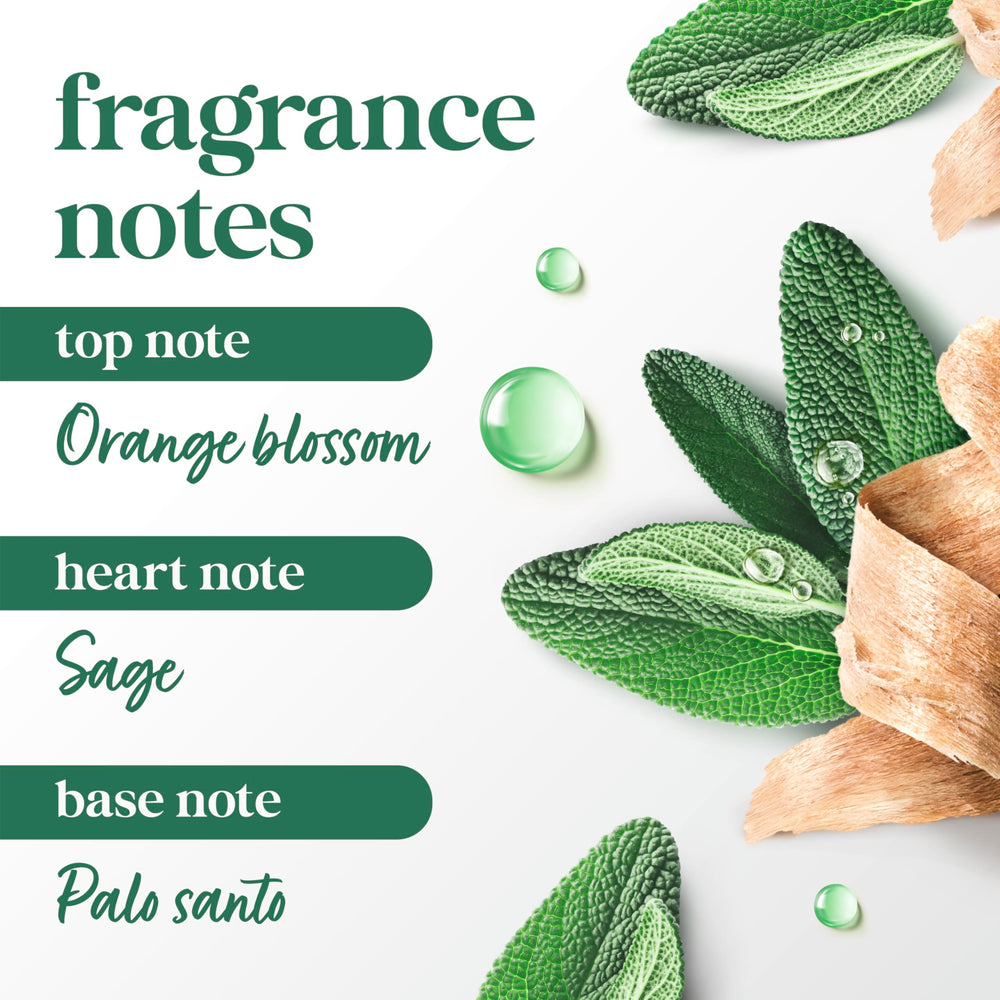 Dove Palo Santo & Sage solid stick close-up reveals creamy, skin-friendly texture.