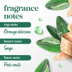 Dove Palo Santo & Sage solid stick close-up reveals creamy, skin-friendly texture.