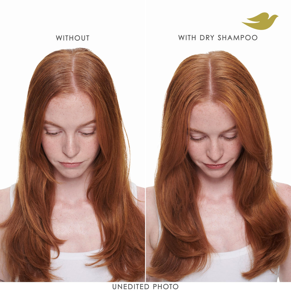 Dove Curly and wavy textures are refreshed without residue.