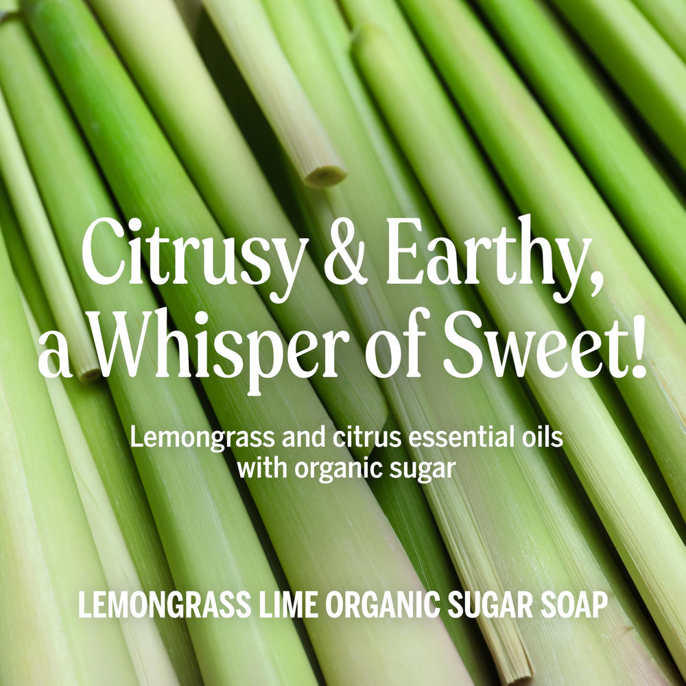 Dr. Bronner's Lemongrass sugar soap hand application detail