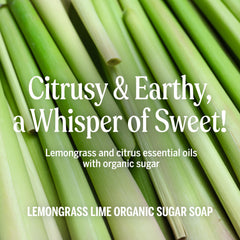 Dr. Bronner's Lemongrass sugar soap hand application detail
