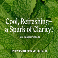 Dr. Bronner's Lip Balm Peppermint close-up on tube texture indicating smooth hydration.