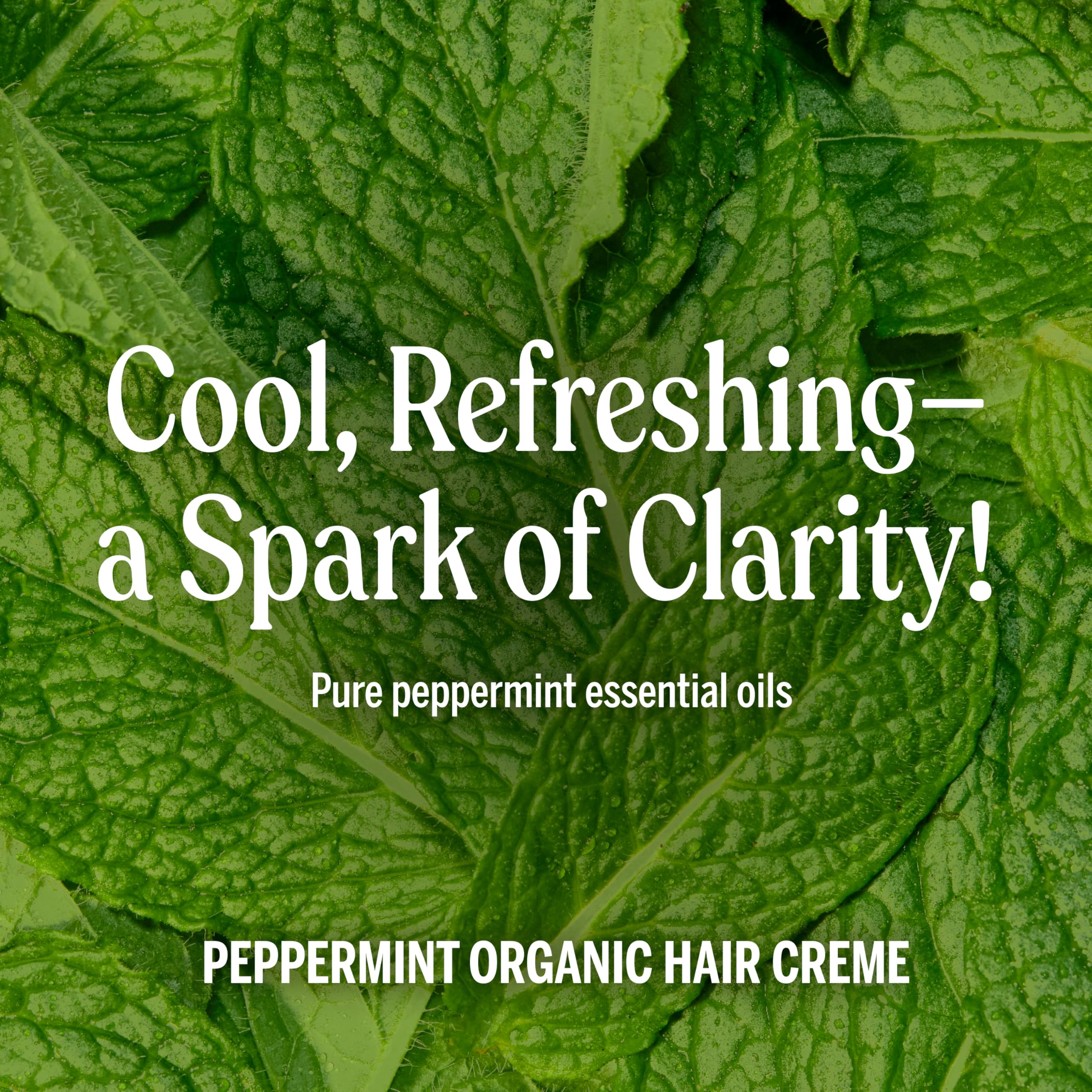 Close-up of organic jojoba and hemp oils in Dr. Bronner's Hair Creme Peppermint.