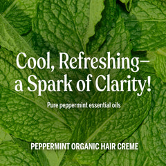 Close-up of organic jojoba and hemp oils in Dr. Bronner's Hair Creme Peppermint.