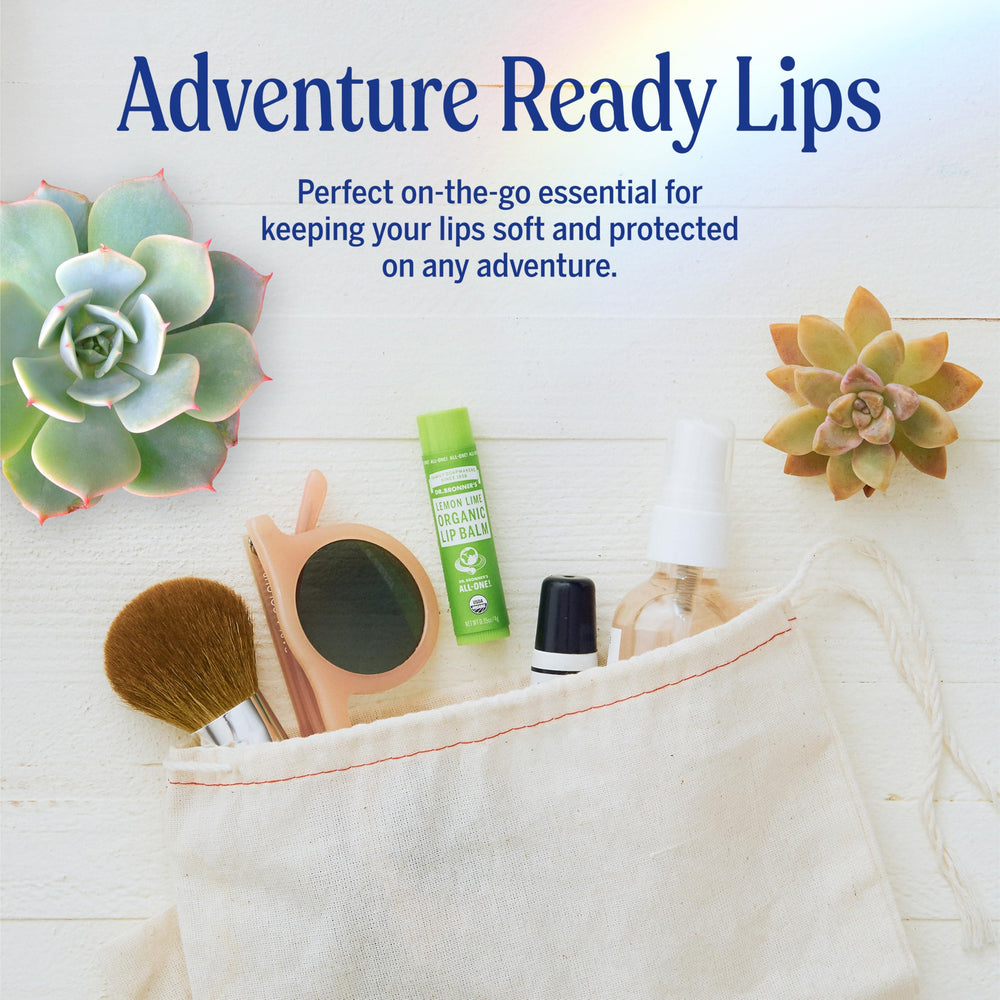 Packaging of Dr. Bronner’s Organic Lip Balm 6-pack