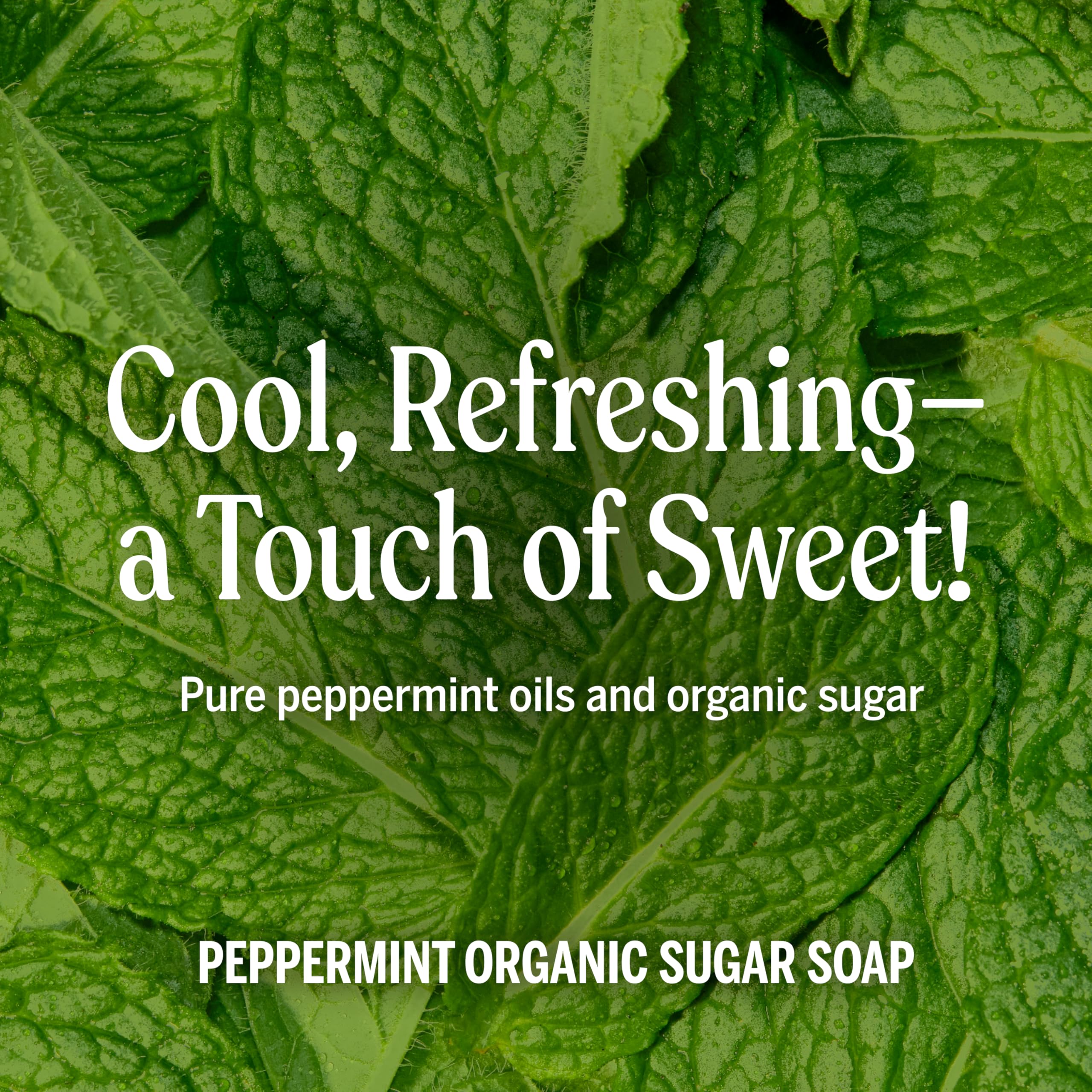 Dr. Bronner's Peppermint Sugar Soap for face and body cleansing