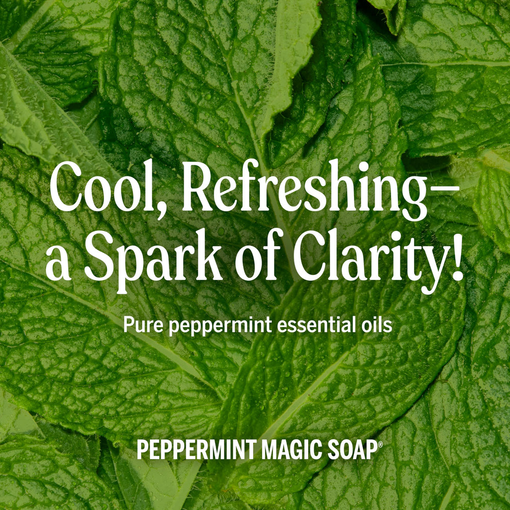 Dr. Bronner's Peppermint Pure-Castile suits body, hair, pets, and laundry tasks.