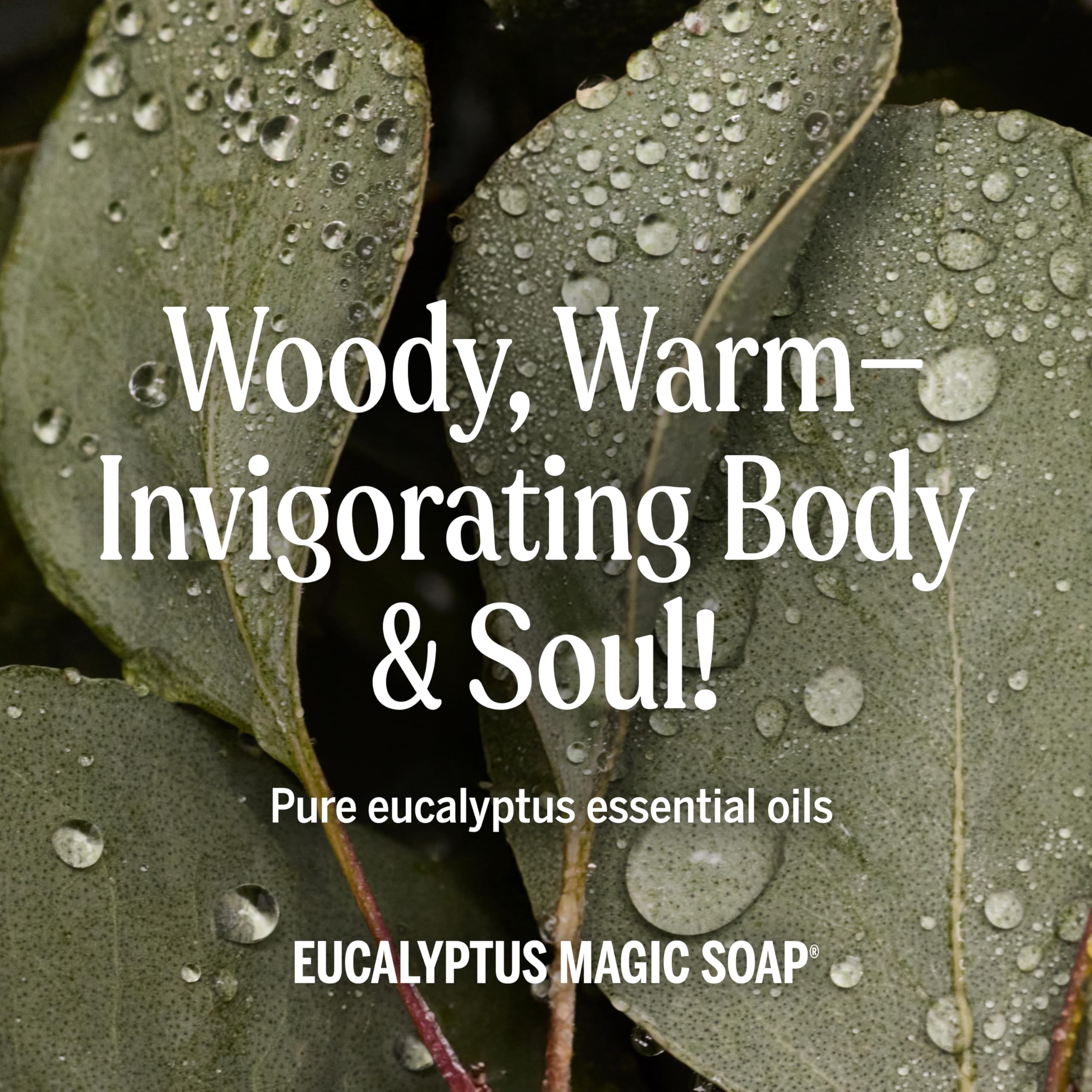 Pet bath using Dr. Bronner's soap as a gentle cleaning option.