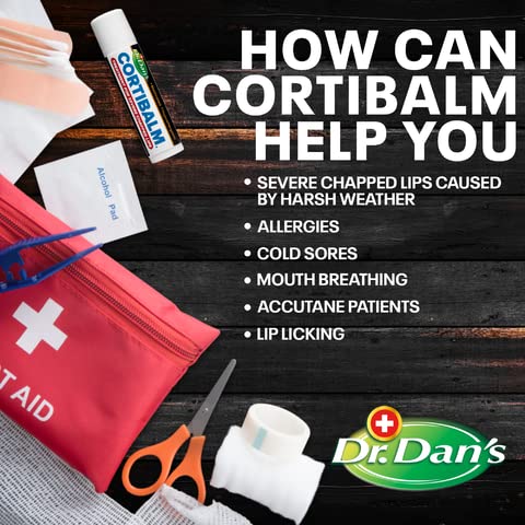 Dr. Dan's Cortibalm ingredientes básicos: ofrece una base suave para labios.