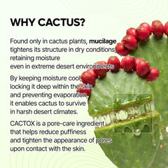 Dr.Melaxin Cactox textura gel refrescante para hidratación ligera.
