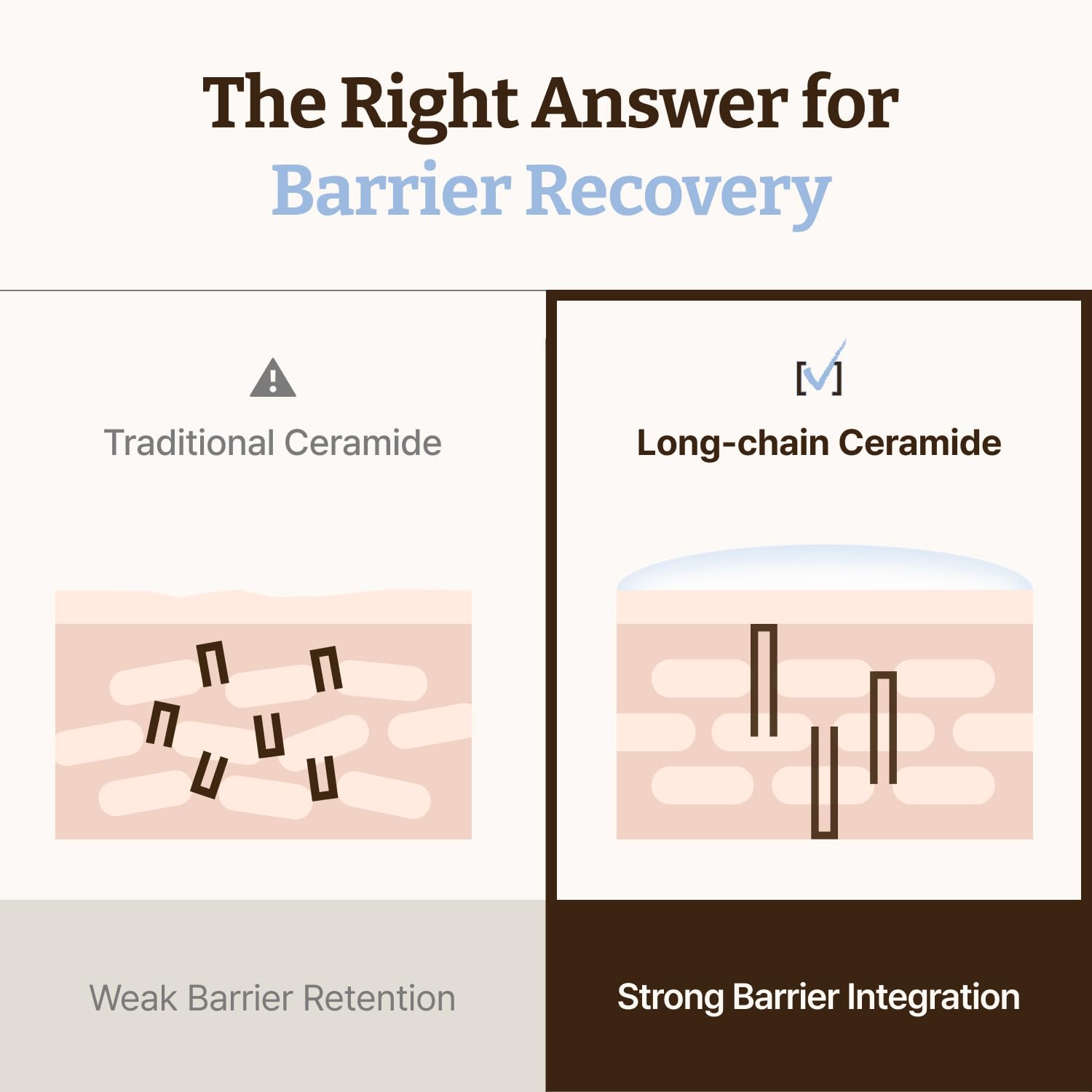 Dr. Reju-All barrier illustration showing moisture retention.