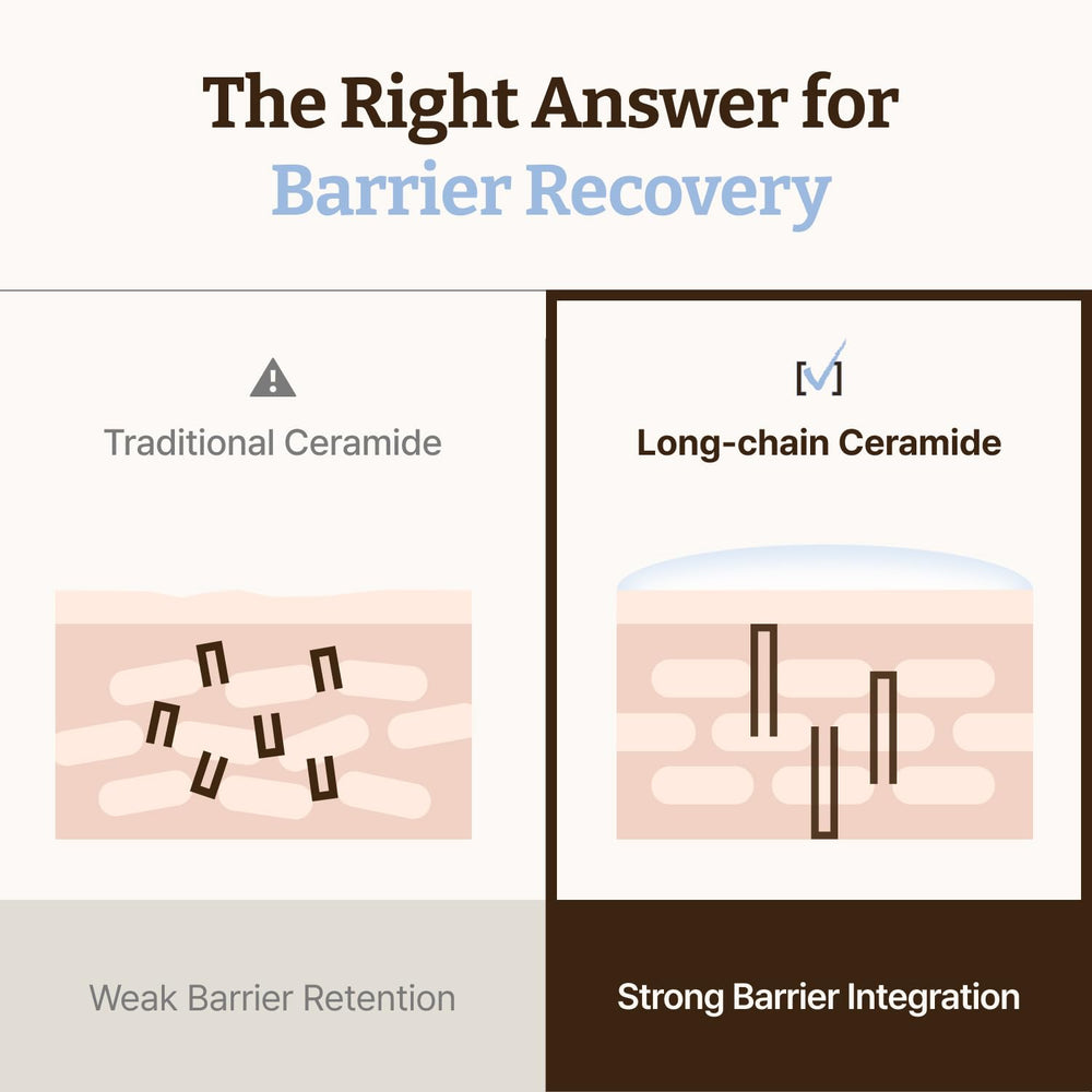 Dr. Reju-All barrier illustration showing moisture retention.