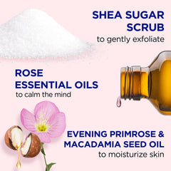 Dr Teal's Rose Shea Sugar Body Scrub jar close-up highlights texture and moisturizing oils