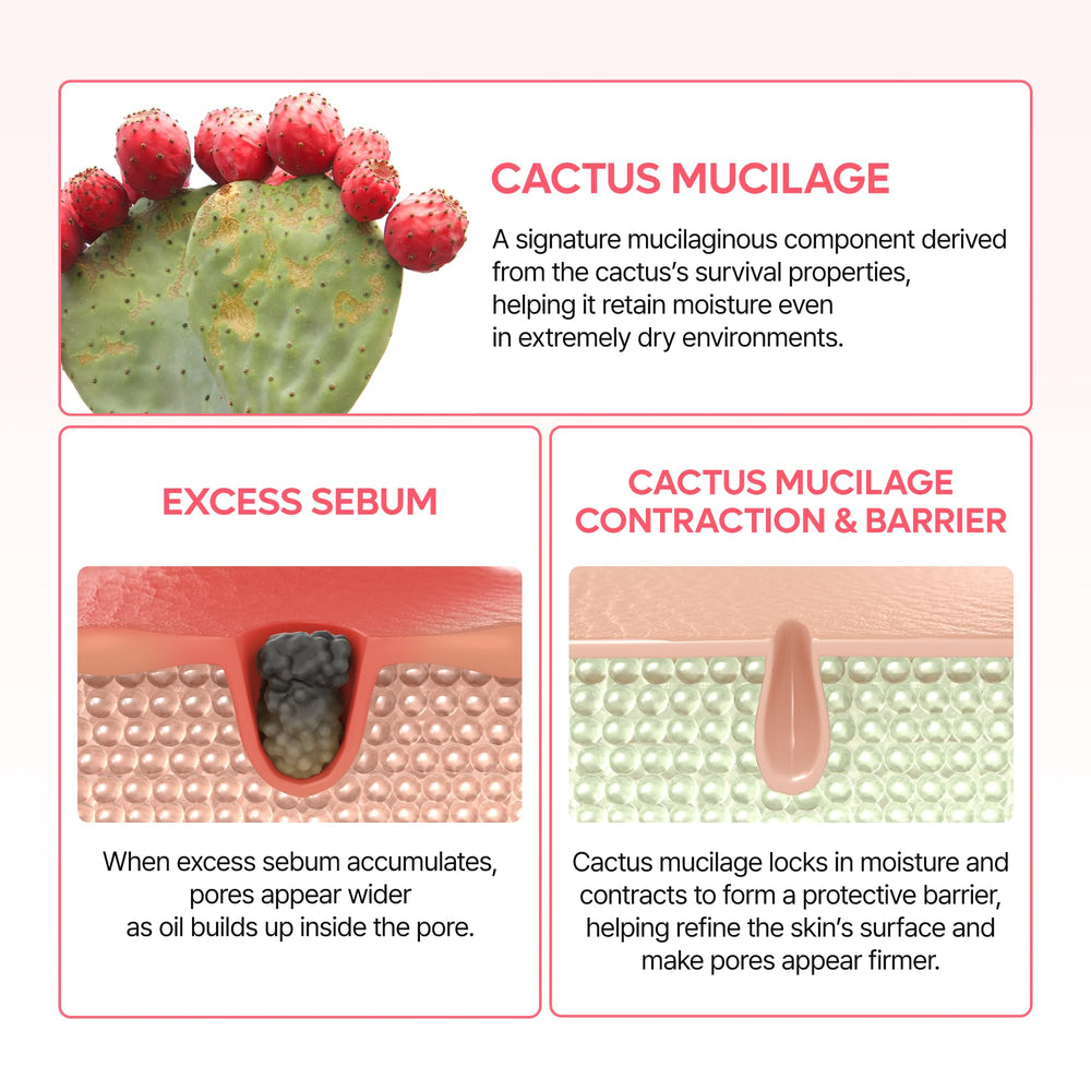 Dr.Melaxin Cactox Pore Dual Cream closeup of pores before and after