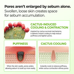 Dr.Melaxin Cactox Pore Relief cooling sensation on skin.