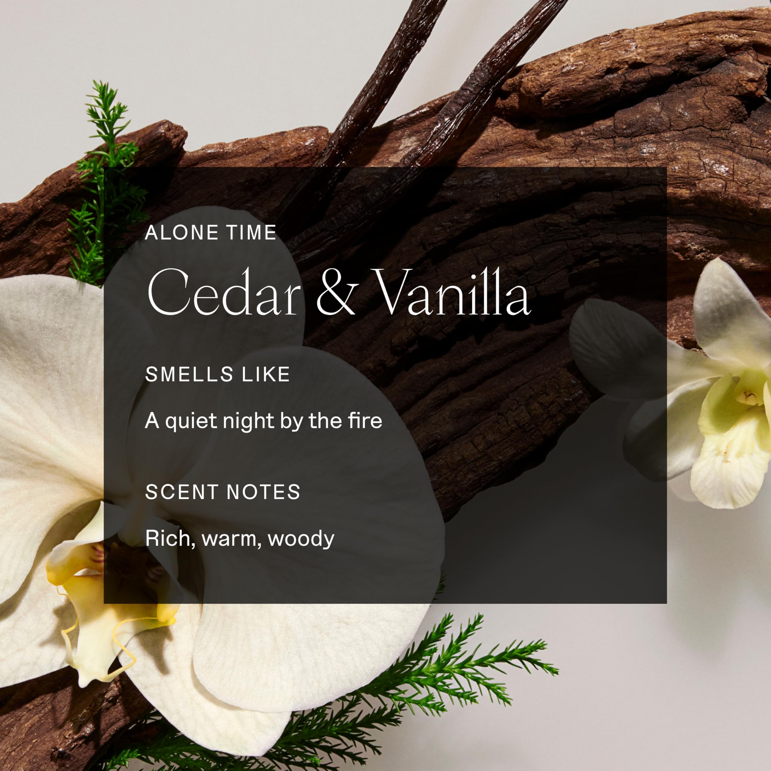Each & Every Cedar & Vanilla fragrance close-up conveys warm, woodsy scent.