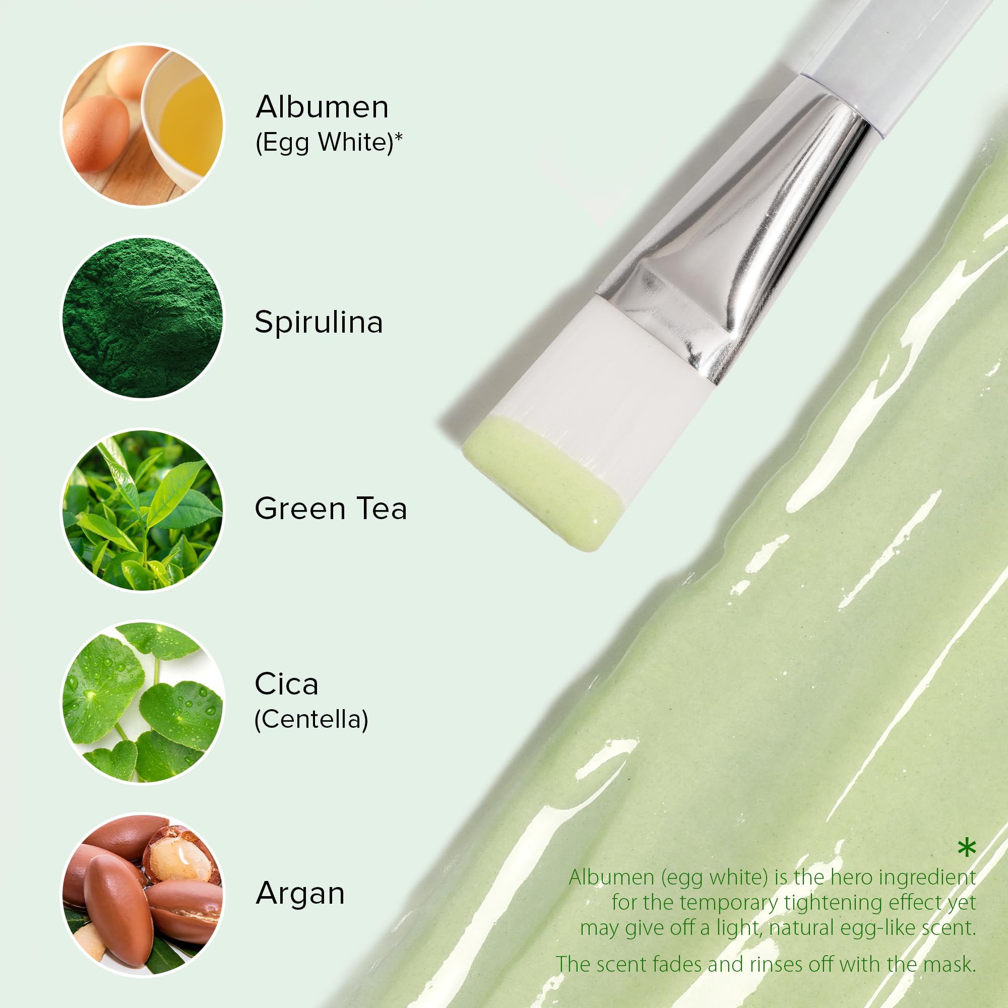 Ebanel application brush ensures an even, smooth layer on the skin.