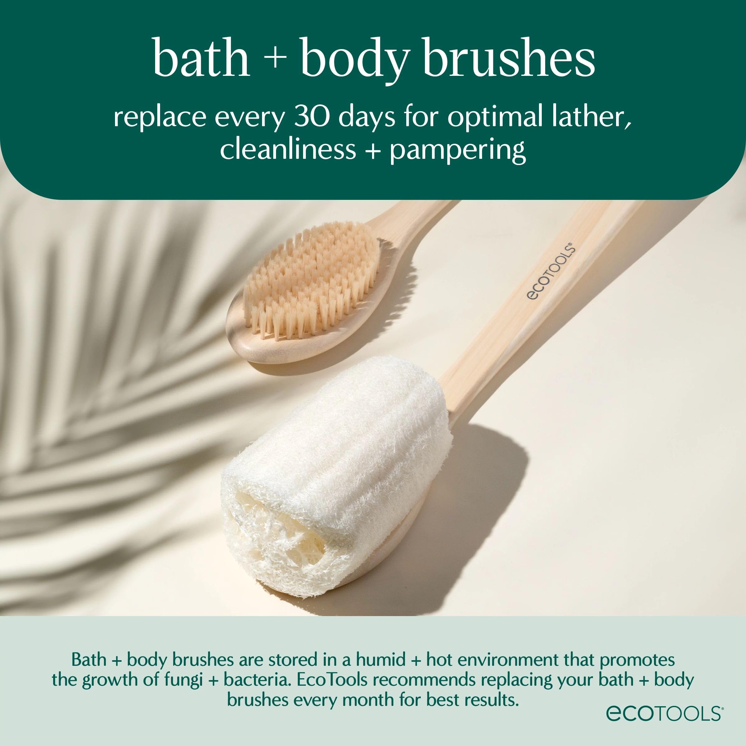 EcoTools dry body brush rinse under water for easy cleaning