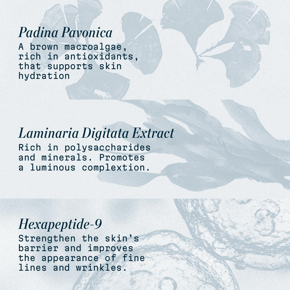 Laminaria digitata seaweed extract included in the formula of Pro-Collagen Night Cream.