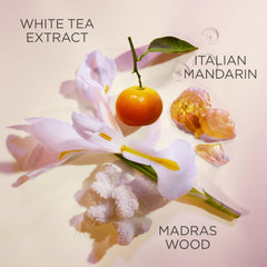 Elizabeth Arden White Tea deodorant application swipe showing smooth, everyday protection.
