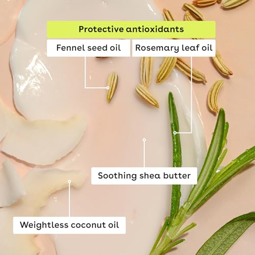 eos Vanilla Bean lip balm texture close-up with creamy consistency