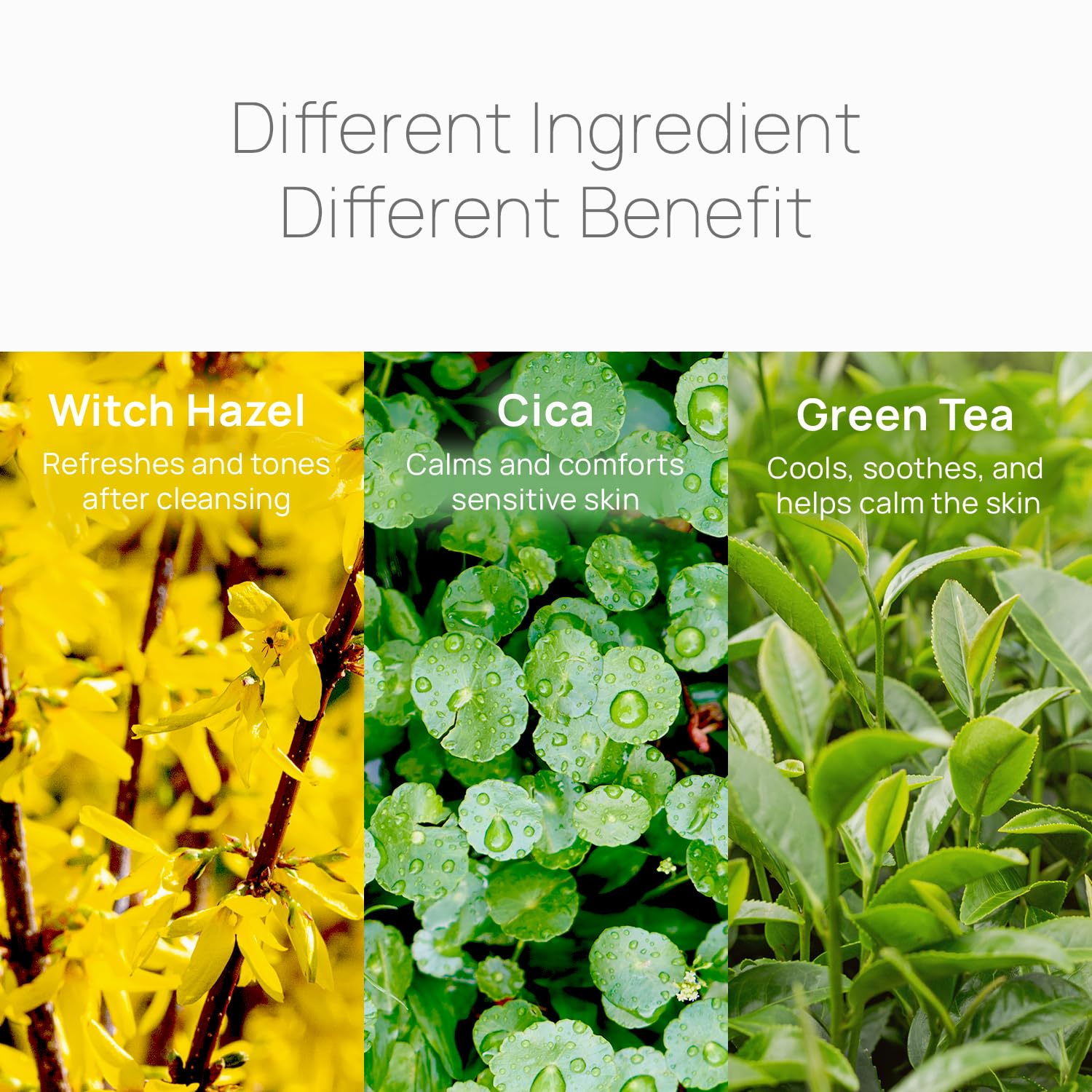 Epielle: limpieza facial rápida con té verde y Cica para piel suave.