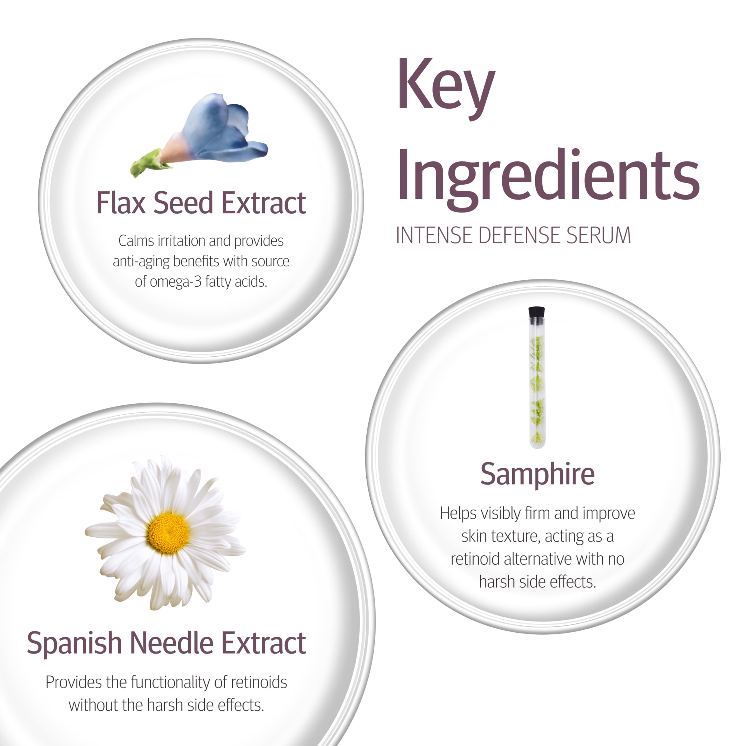 Epionce Intense Defense Serum packaging box and branding.