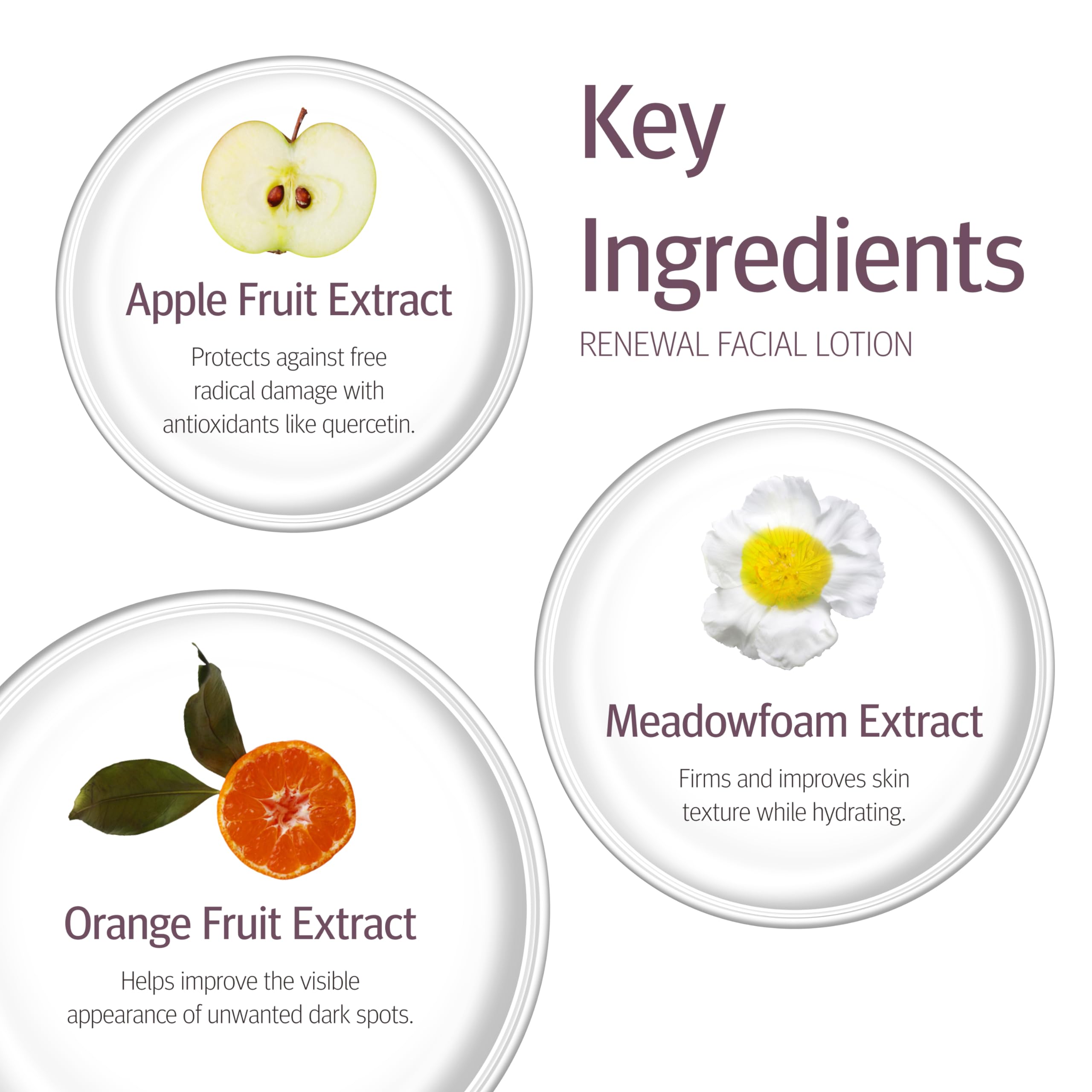 Epionce Renewal Facial Lotion application guide for daily use