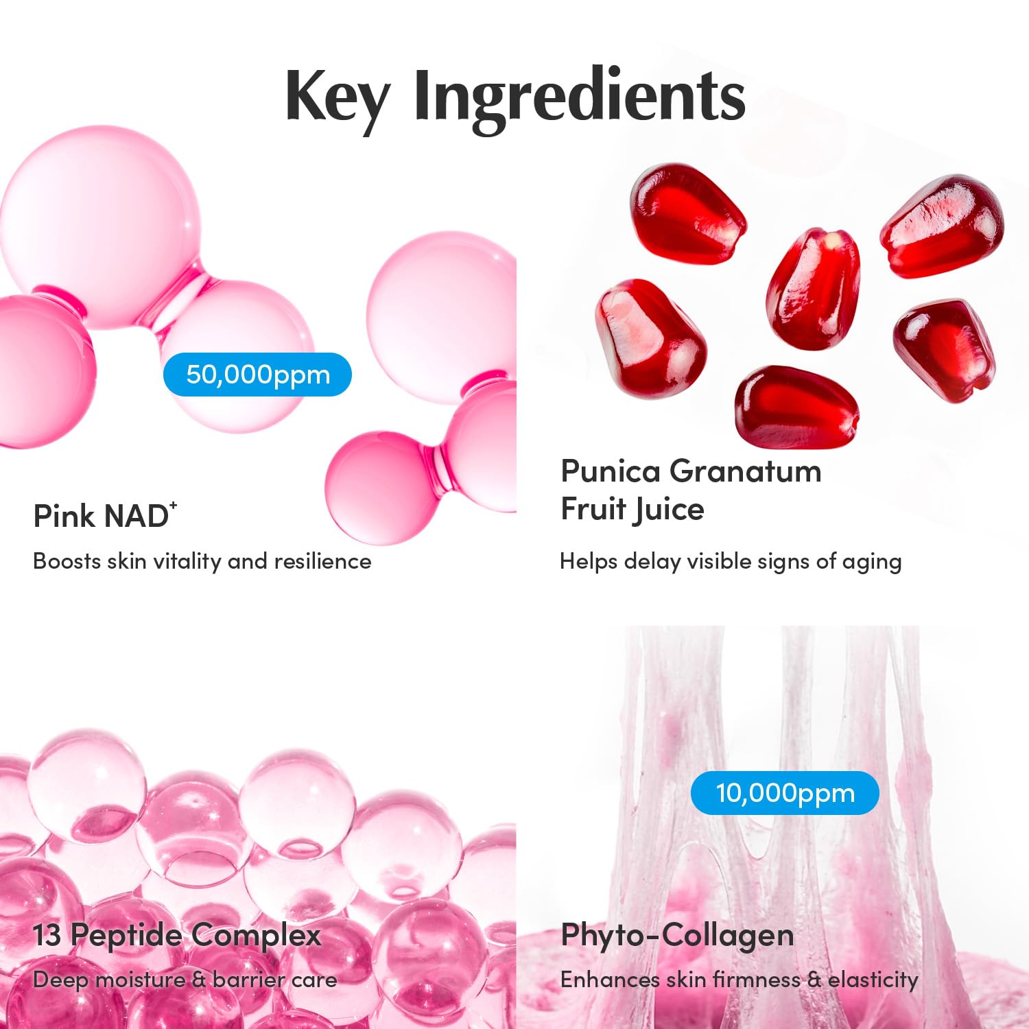 EQQUALBERRY NAD+ Peptide Boosting Cream ingredients scene emphasizes liposomal NAD+ and peptides.