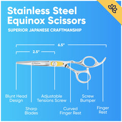 Equinox Razor Edge Japanese stainless steel close-up showing sharp blade.